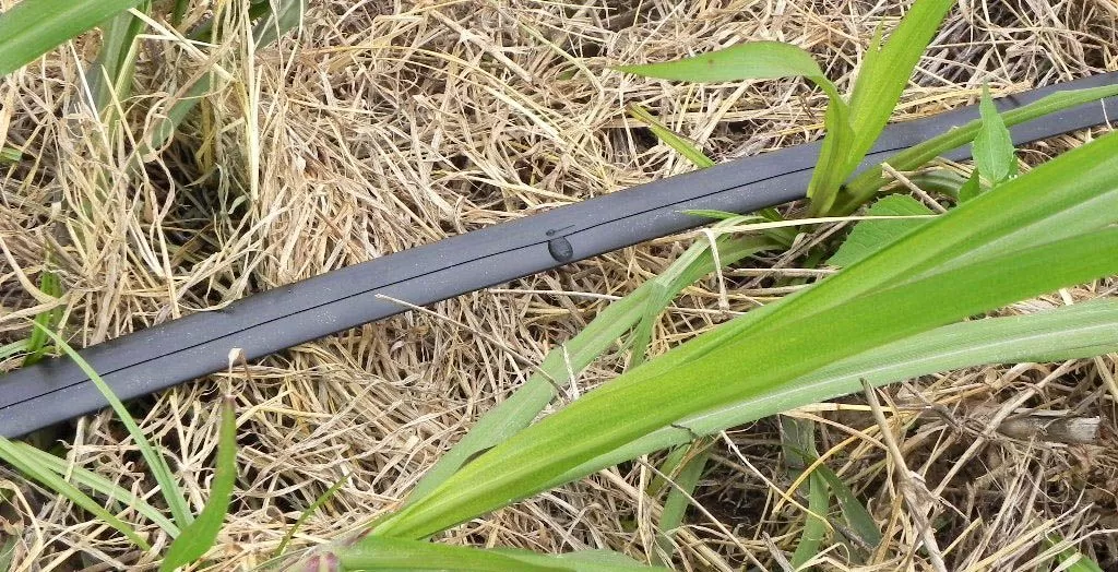 61945d19d17a9c4996e3f813bae8bfaa.jpg 61945d19d17a9c4996e3f813bae8bfaa.jpg