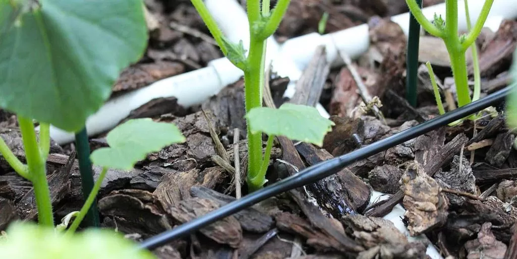 4a0203b3570cac02cec92c6b5a9bc967.jpg 4a0203b3570cac02cec92c6b5a9bc967.jpg