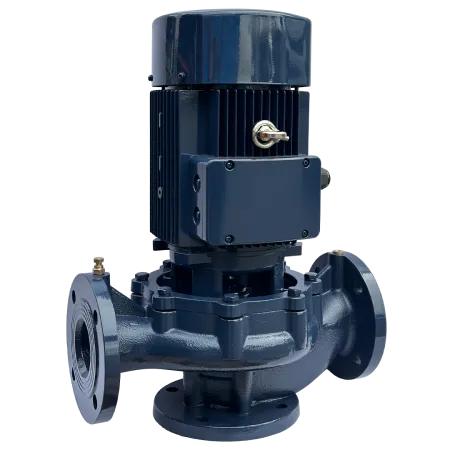 Циркуляционный насос MAXPUMP IL 65-310/30