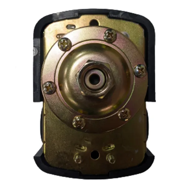 Реле давления MAXPUMP PS-02 (м)
