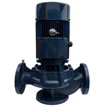 Циркуляционный насос MAXPUMP IL 50-250/15