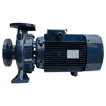 Циркуляционный насос MAXPUMP F 50-200/110