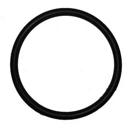 Уплотнительное кольцо для диффузора IBO AJ+JET Уплотнительное кольцо для диффузора IBO AJ+JET