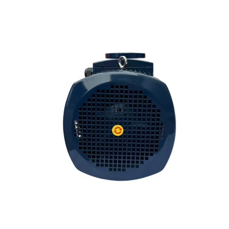 Циркуляционный насос MAXPUMP F 50-250/220