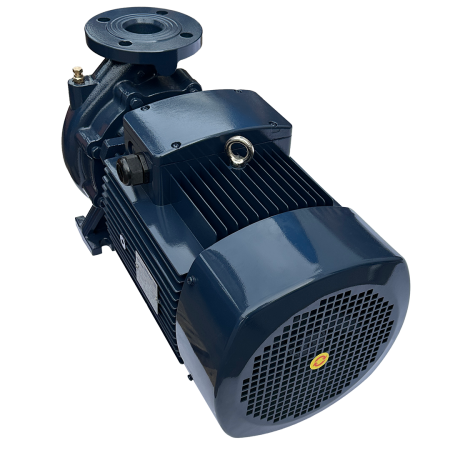 Циркуляционный насос MAXPUMP F 50-200/110