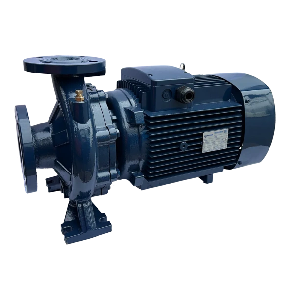 Насос MAXPUMP F 65-250/220